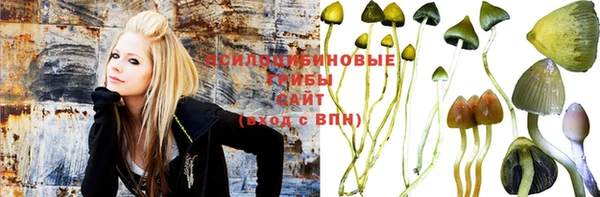 индика Семёнов